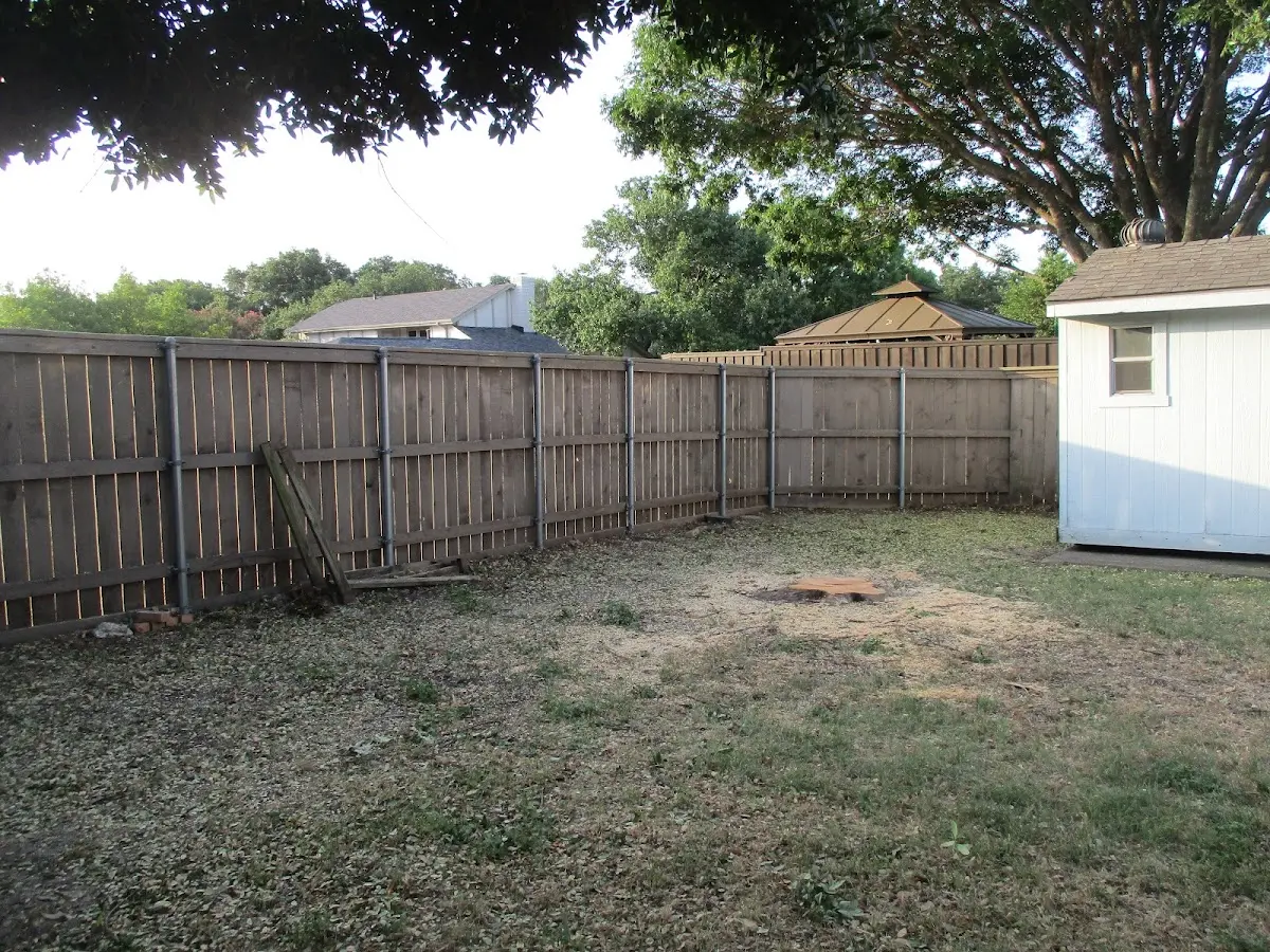 Cleared yard after professional tree removal in Baker