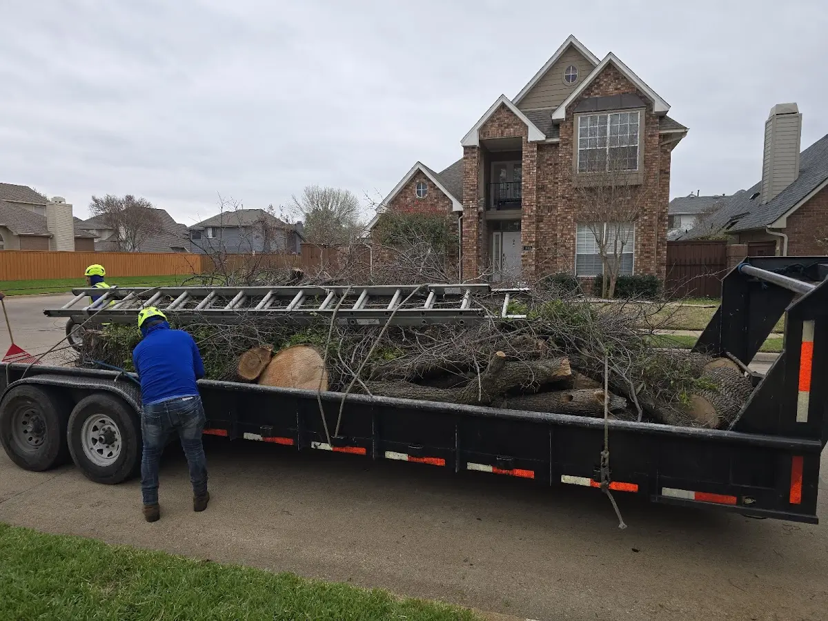 Expert Tree Pest Control with proper safety equipment in Baker